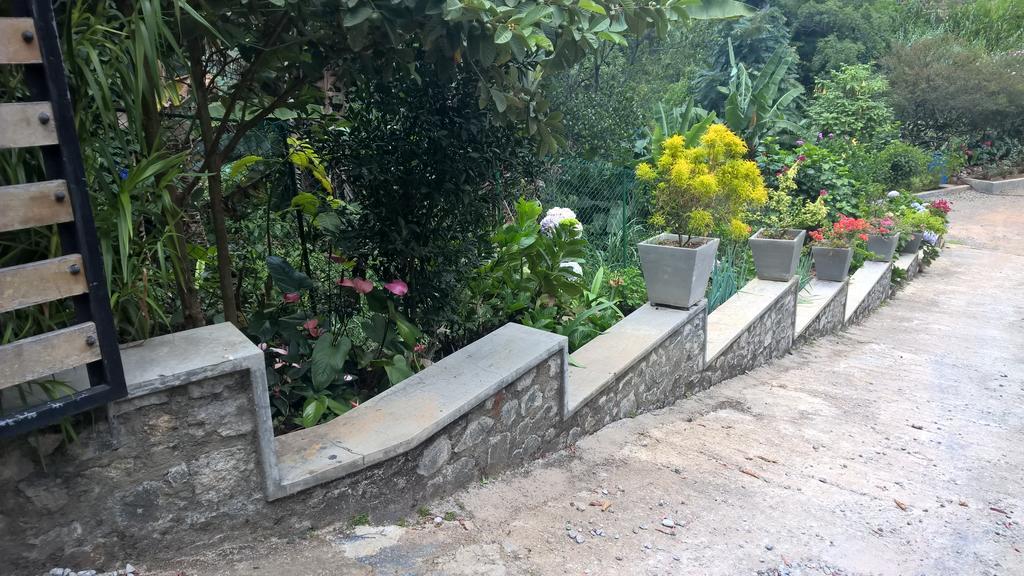 The Nest By Amarasinghe'S Hotel Haputale Exterior foto